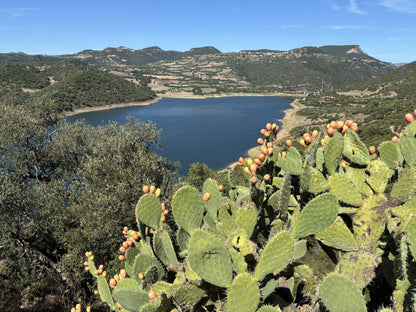 SARDINIEN: 7 tägige Motorradtour als GPX-Datei Download inkl. Unterkunftsempfehlungen