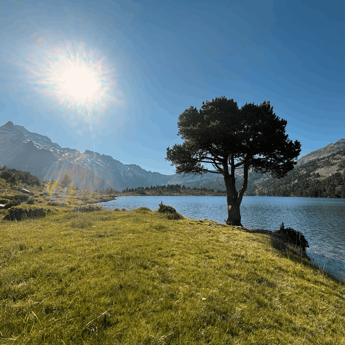 PYRENÄEN: 8 Tage Motorradtour als Guide inkl. GPX Download & Unterkunftsempfehlungen gpx download motorrad - motourvibes