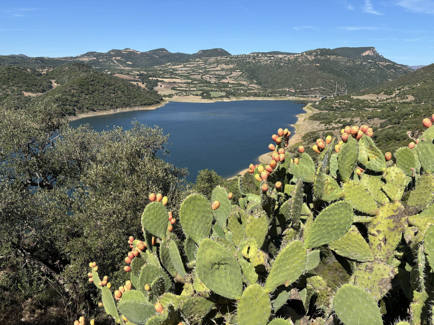 SARDINIEN: 7 tägige Motorradtour als GPX-Datei Download inkl. Unterkunftsempfehlungen gpx download motorrad - motourvibes